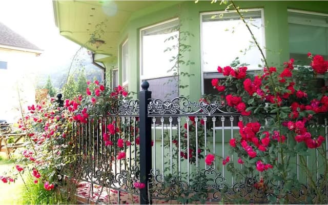 namhe everose pension