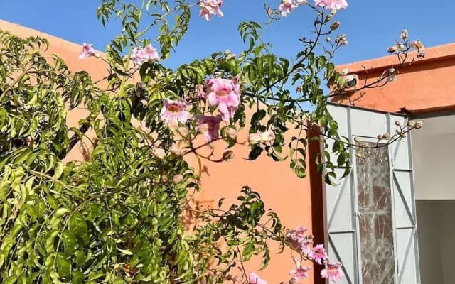 Riad Ramz