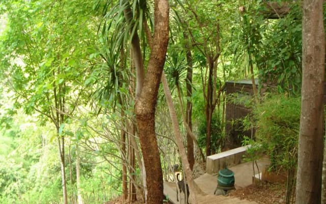 Sam's Jungle Guesthouse