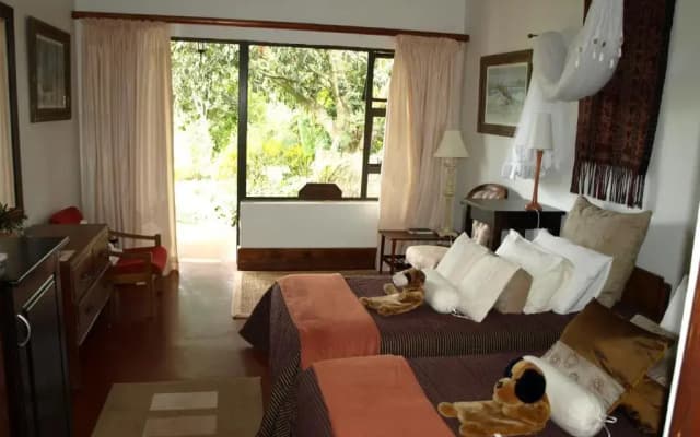 Ambience Inn
