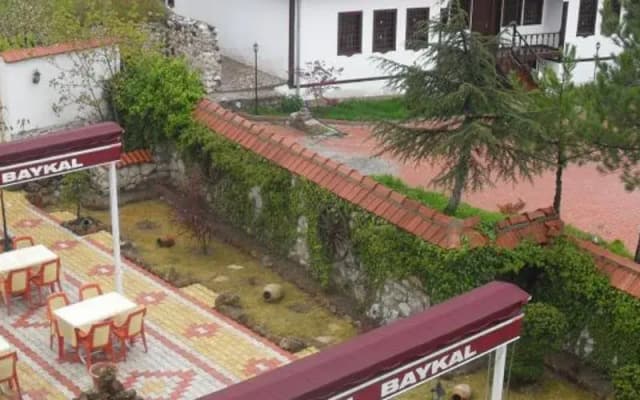 Hotel Baykal