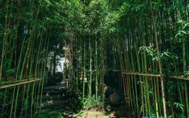 Yan Ru Light Luxury Holiday Hostel