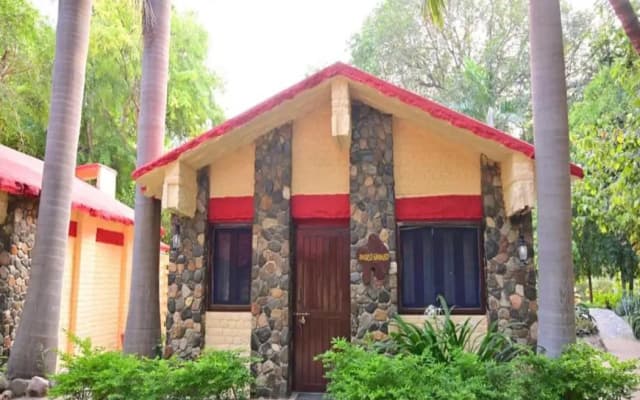 Leopard Lair Ananta Express