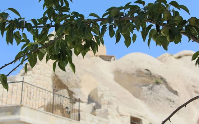 Anatolian Cave Hotel