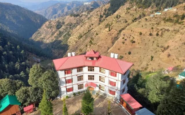 The Jungle Story - Shimla | By Headquarter