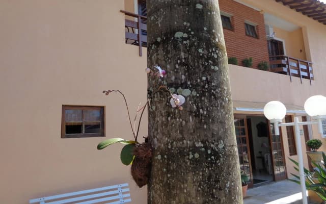 Hotel Costa Balena