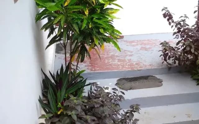 Fish Hostel
