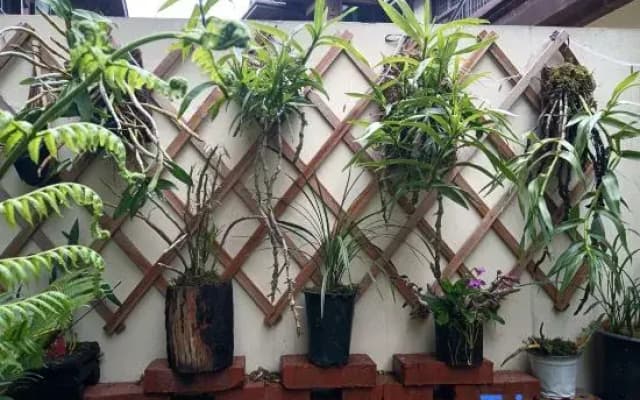 Mangshi No.1 Courtyard Homestay (Yi Nationality Ancient Town Branch)
