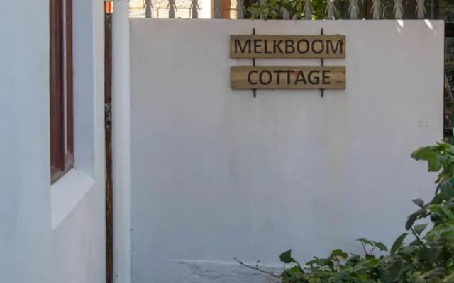 Melkboom