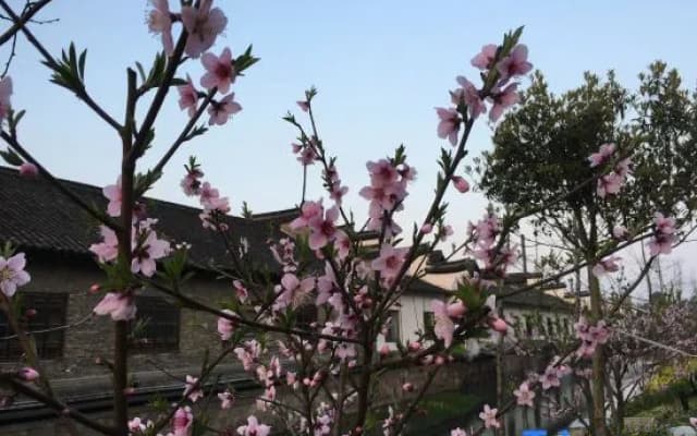 Wuzhen Flower House