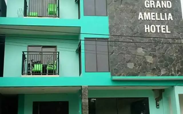 大茶花酒店(Grand Amellia Hotel)