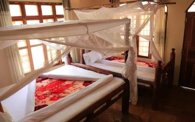 Mikumi Adventure Lodge