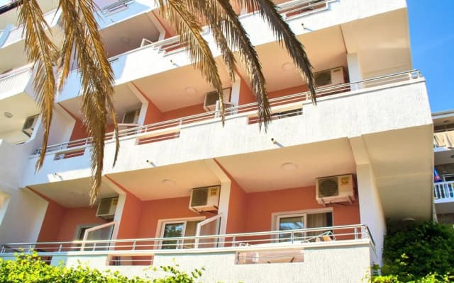 Palma Jaz