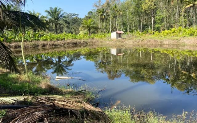 Backpacker's Nature Lodge In Theralu