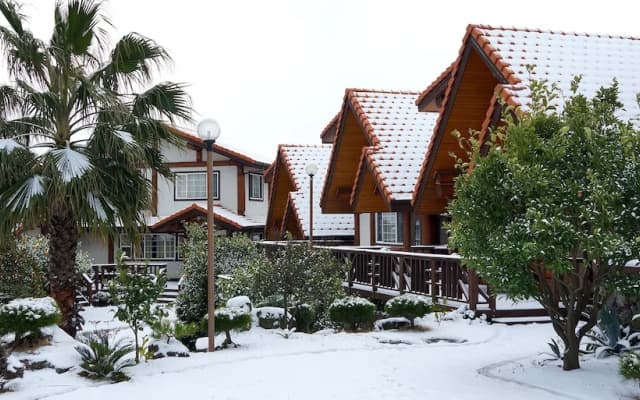 Jeju Joyland