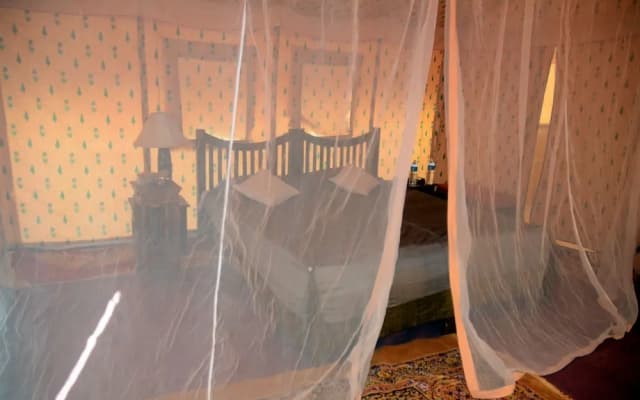 Royal Desert Camp