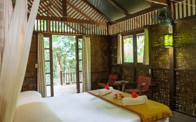 Our Jungle House