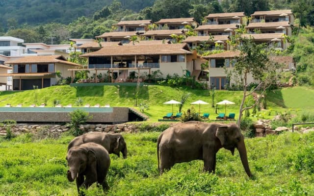 Wild Cottages Elephant Sanctuary Resort