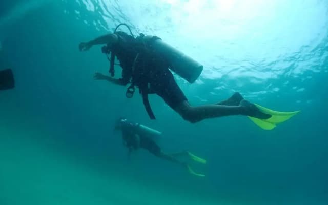 Seahorse Diver Guesthouse