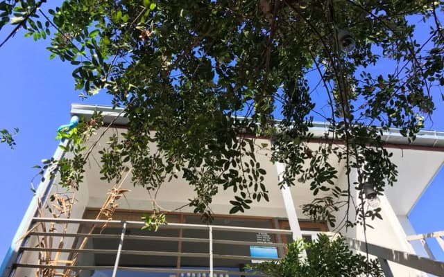 The Goose Cafe & Hostel