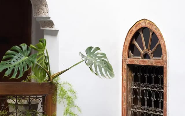 Riad 9 Fez