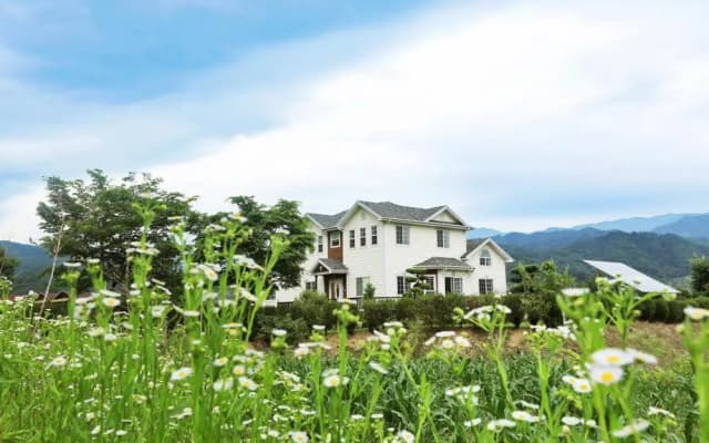 Vally Pension