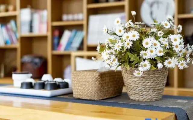Shengsi Pushu • 18 mu B&B