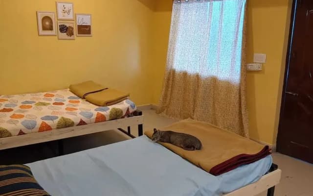 Vattakanal Homestays