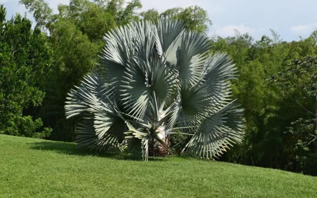 Finca Hotel Santana Campestre