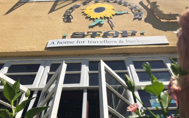 A Sunflower Stop - Hostel