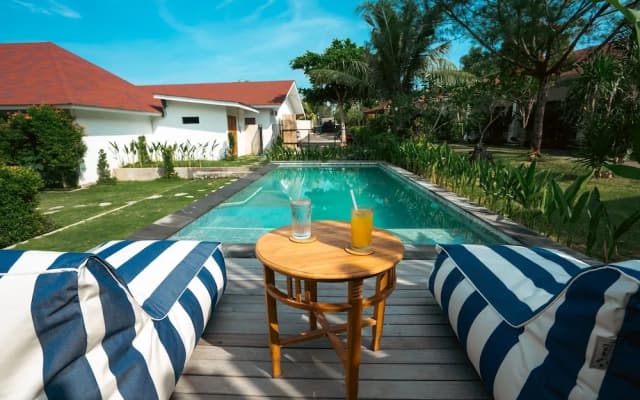 Zena Surf Suite