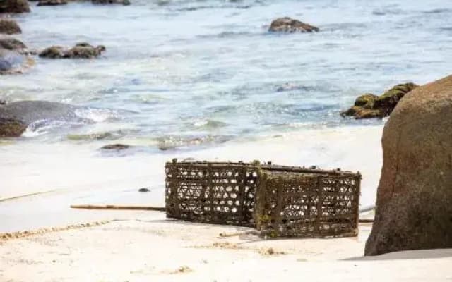 Domaine Desaubin Luxury Villas