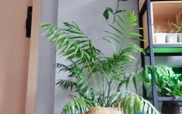 Xiangshan Bieju Yige Homestay