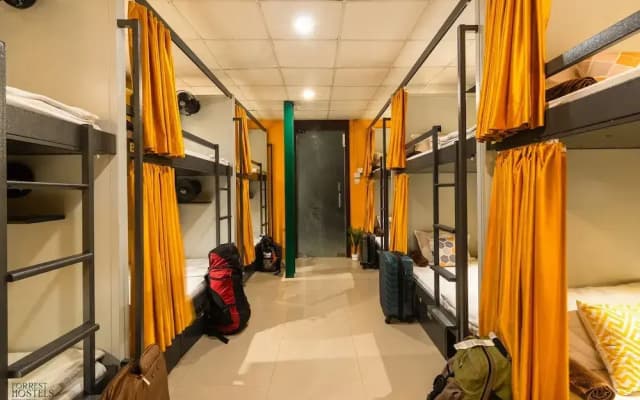 Forrest Hostels