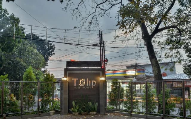 Tulip Guest House