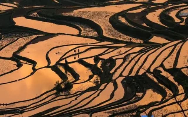 Yuan Yang Yin Xin · Valley Resort and Viewing Homestay for Mountain and Stream Tracing