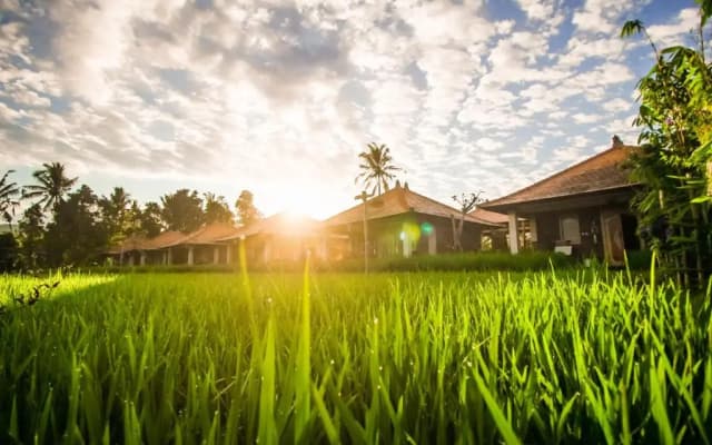 Sri Lestari Banyuatis
