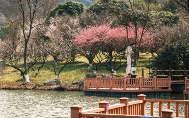 Hangzhou Shuimo Zhuang Private Home Forest Hotel (Chaoshan Scenic Area)