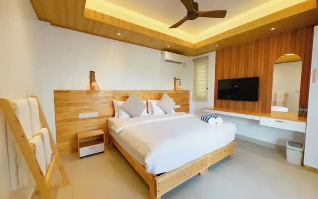 Pavona Maldives