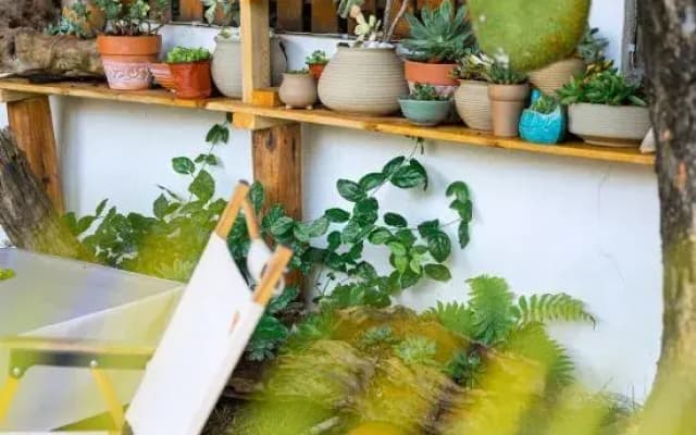 Weizhou Island Summer Haiqing Homestay