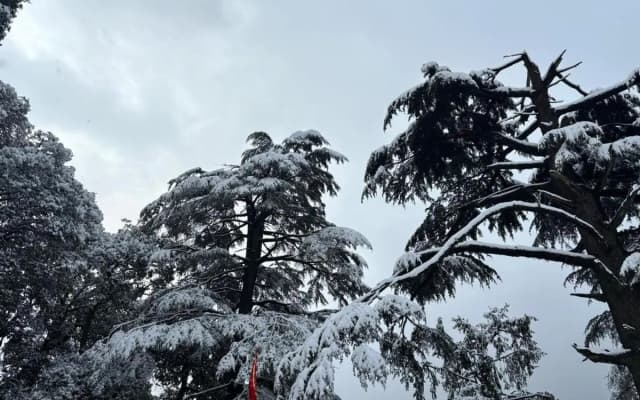 Jakhu heights