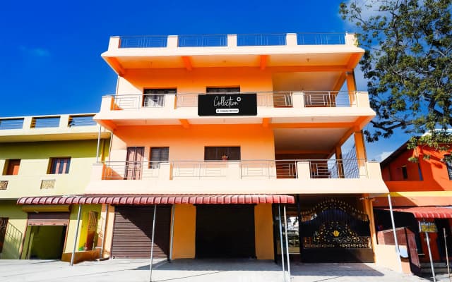 Collection O Auroville Pondicherry