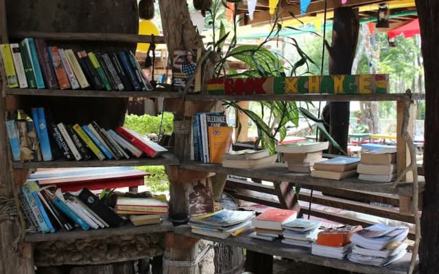 Chill Out Jungle Bungalows