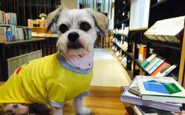 Xishuangbanna Utopia International Youth Hostel