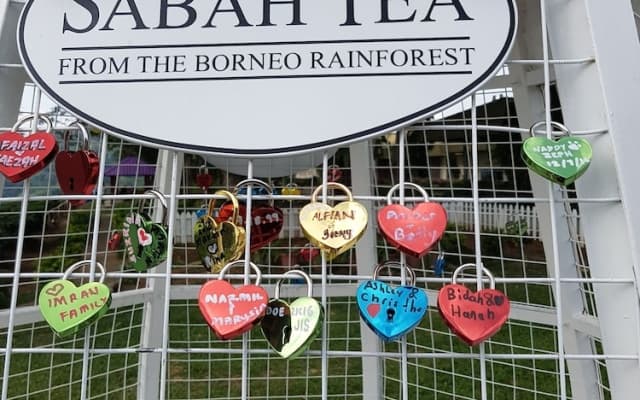 Sabah Tea Resort