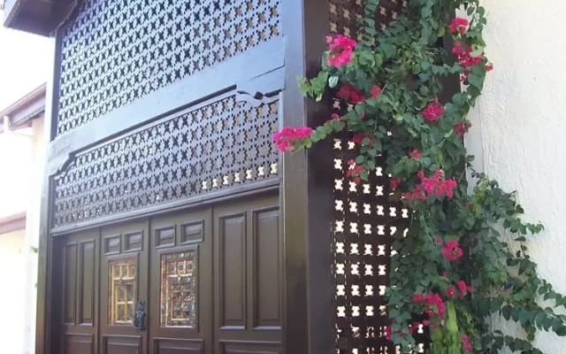 Lazy Lizard Boutique-Hotel
