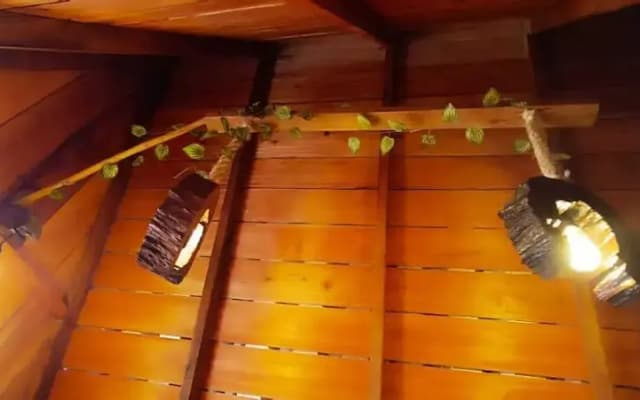 Amazon Private Tours Jungle Lodge