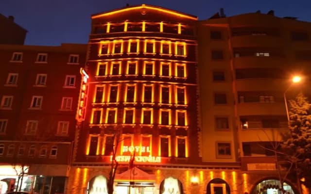Basmacioglu Hotel - Special Class