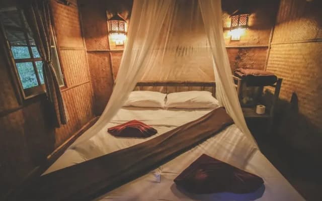 Bamboo Jungle Resort
