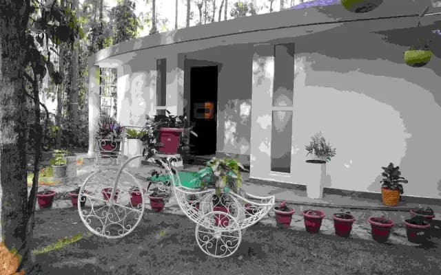 One Piece Homestay
